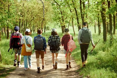 A group of kids hiking in the woods.
