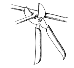 Black-and-white illustration of pruning shears cutting through a plant branch, showing the tool’s curved blade and two handles in action.