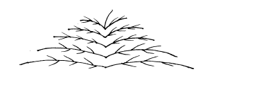 Black-and-white illustration of a branching structure arranged in a triangular pattern. Branches extend outward from a central point at the top, forming multiple symmetrical layers that resemble a tree or fractal design.