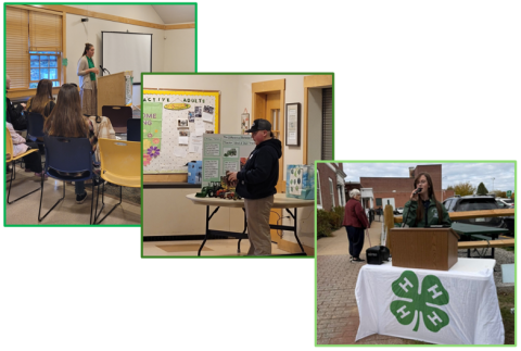 presentation collage