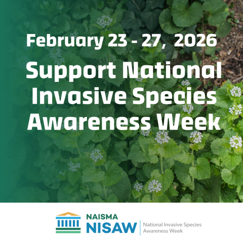 Graphic with a leafy green plant background and white text reading “February 23–27, 2026 Support National Invasive Species Awareness Week.” At the bottom is the NAISMA NISAW logo with the words “National Invasive Species Awareness Week."
