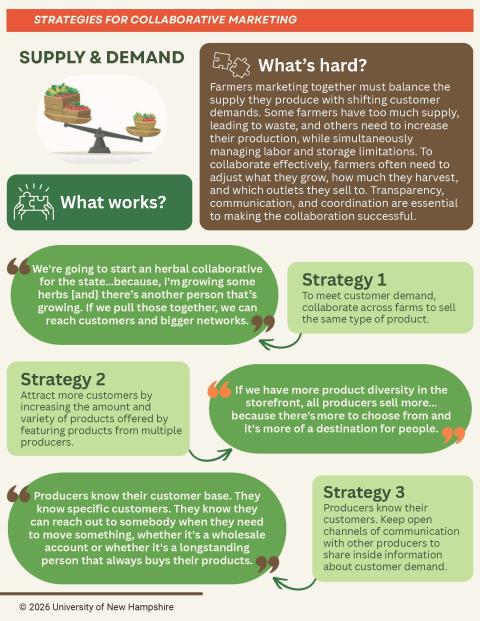 Strategic Collaborative Marketing Info Graphic