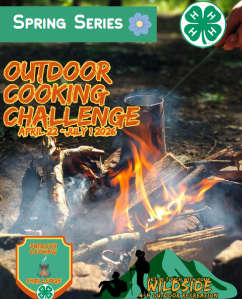 Campfire cooking