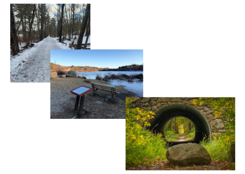 collage
