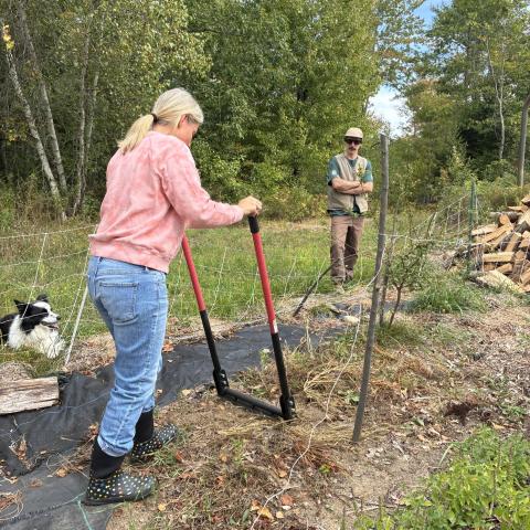 woman working the soil with a man looking on