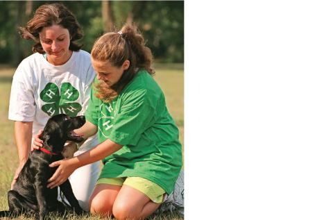 4-H member and adult with dog