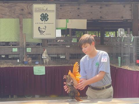 Chicken held by teenager