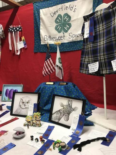 4-H club fair exhibit with club banner