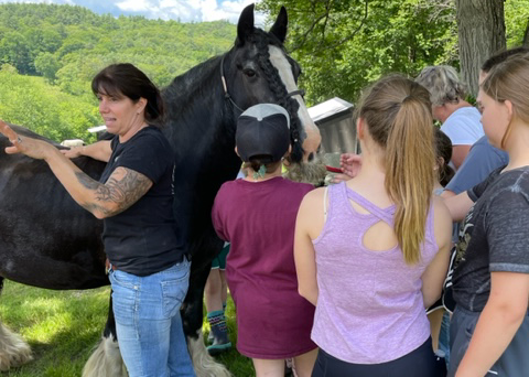 horse talk