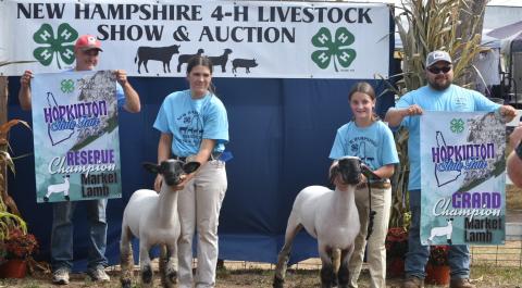 4-H livestock show and auction