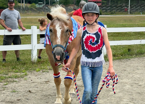 horse member