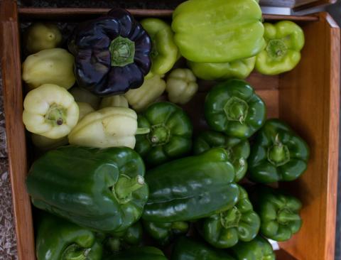 Wooden box full of different colored peppers.