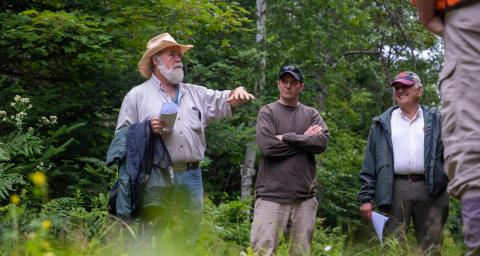 Several people discussing while standing among trees and grass