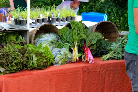 Fresh greens and seedlings being sold at a farmers market.