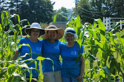 Kathie Lovett garden buddies