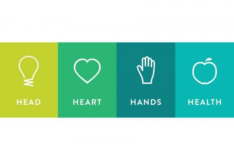 Head Heart Hands Health