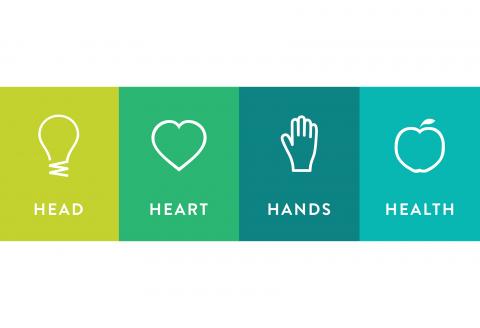 Head Heart Hands Health