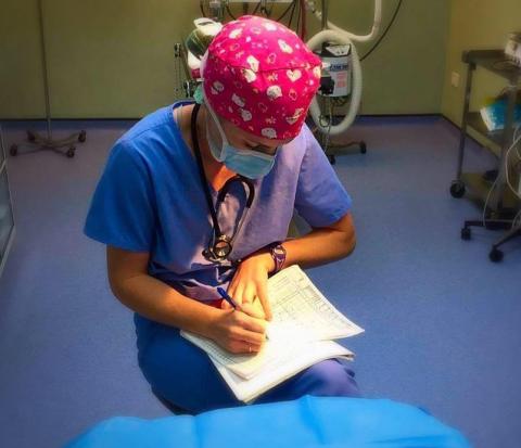 Cheshire County 4-H alumna Nicolette Shelley at work in a veterinary hospital.