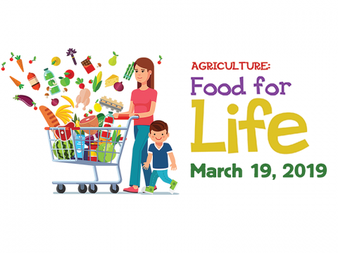 Woman and boy with produce in grocery cart