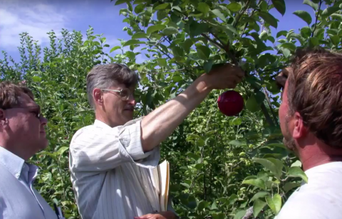 Alan Eaton and others looking at an apple pest trap.