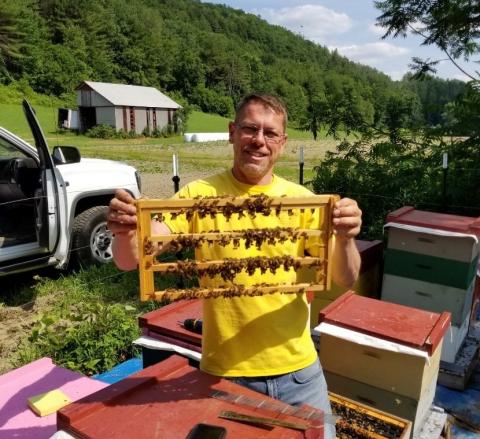 A beekeeper holds up a grafted fram of honey bees