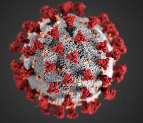 close up of coronavirus graphic image