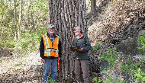 Anne Krantz and a Big Tree volunteer at a winning cottonwood tree