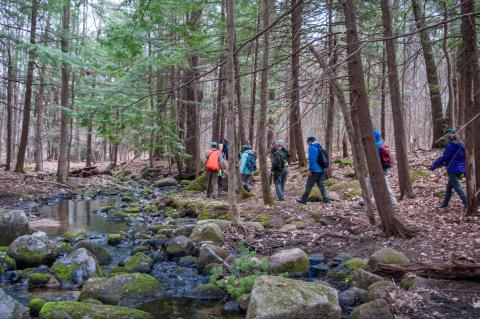 Coverts volunteer in the woods