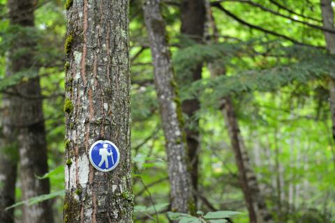 trail marker on a tree