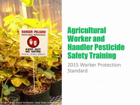 Agricultural Worker and Handler Pesticide Safety Training Video