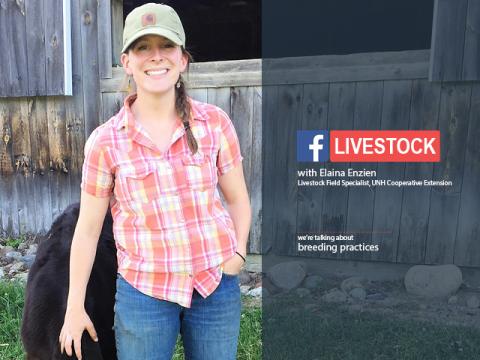 Elaina Enzien standing next to a barn with livestock
