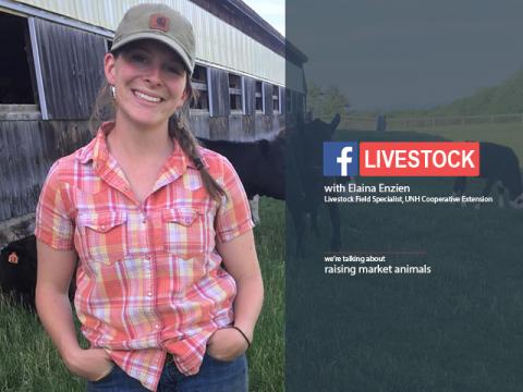 Elaina Enzien standing next to a barn with livestock