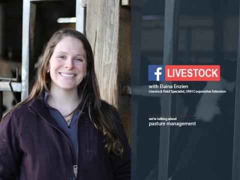 woman standing at livestock barn