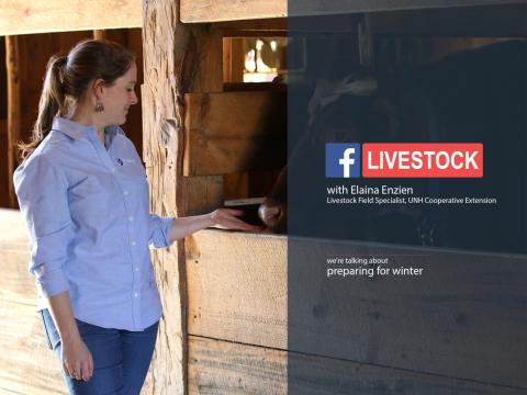 Facebook Livestock Winter Care