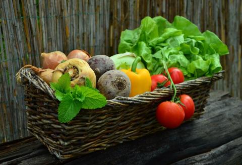 Vegetables from a garden