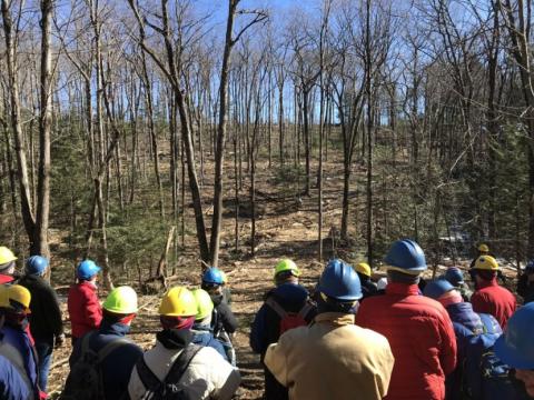 People looking at a timber harvest