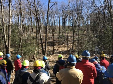 People looking at a timber harvest