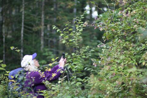 Community member using iNaturalist to inventory plant species during BioBlitz