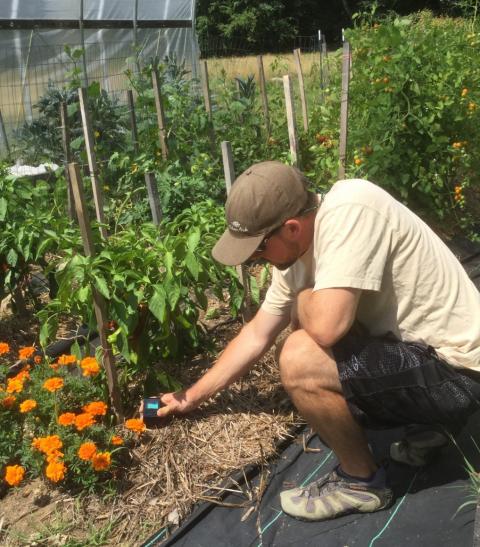 Jeremy DeLisle using a moisture meter in the garden