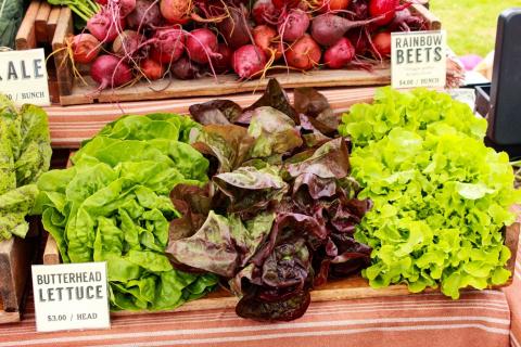 Fresh produce on display at farm stand.