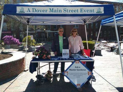 Judy at an Ask a Master Gardener booth