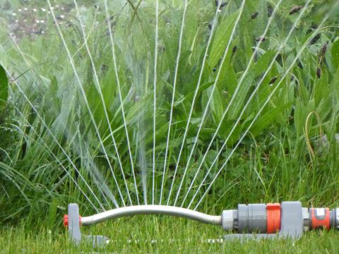 saving water makes sense