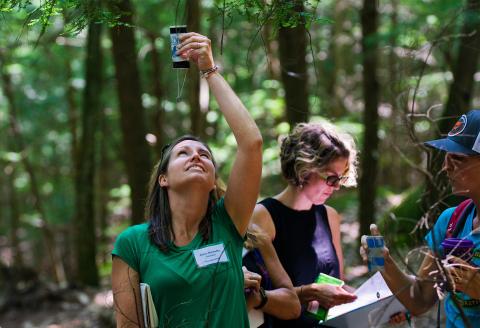 Teacher Elaine Marhefka conducts research in the woods