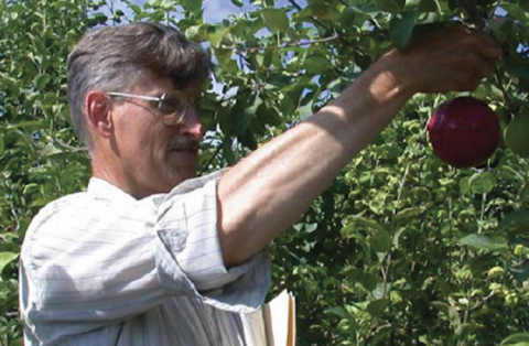 UNH Cooperative Extension's Alan Eaton is pictured here. He is wearing glasses and his shirt sleeves are rolled up. He is picking an apple off a tree.