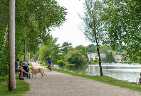 Person biking, people sitting on bench, stroller and dog on a trail by water