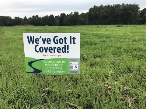 Learn more about cover crops at the 2017 Cover Crops Symposium