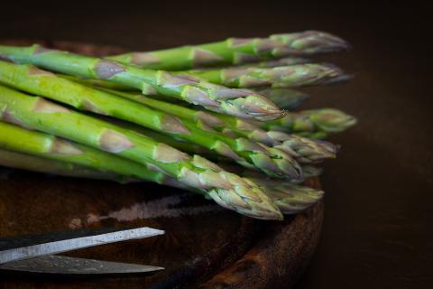 Early spring shoots are healthy