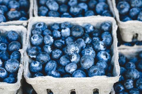 Containers of fresh blueberries.
