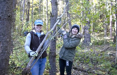 Two UNH students hold a buckthorn shrub they've removed while in college woods for nature groupie