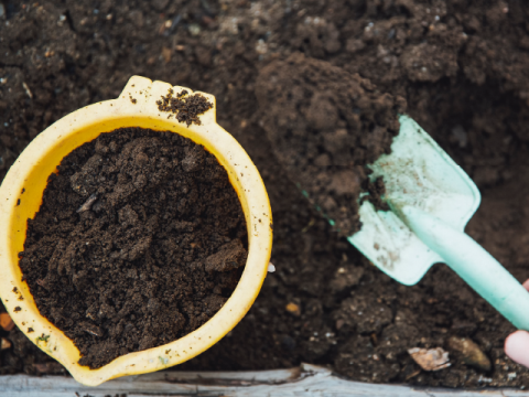 soil and a child's shovel